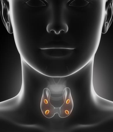 узлы в щитовидной железе