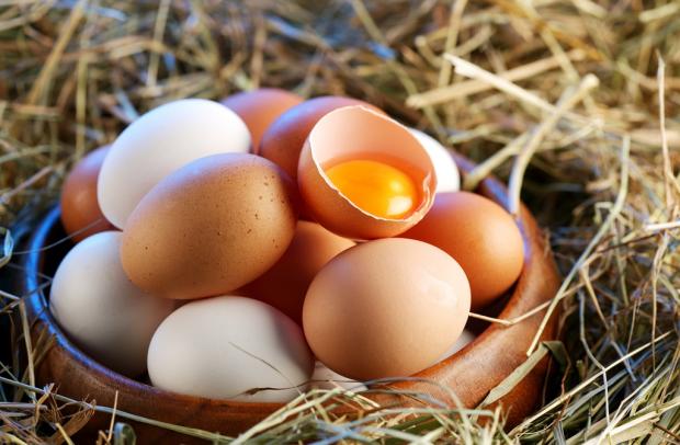 Полезные вещества, содержащиеся в яйце, легко и практически полностью усваиваются организмом