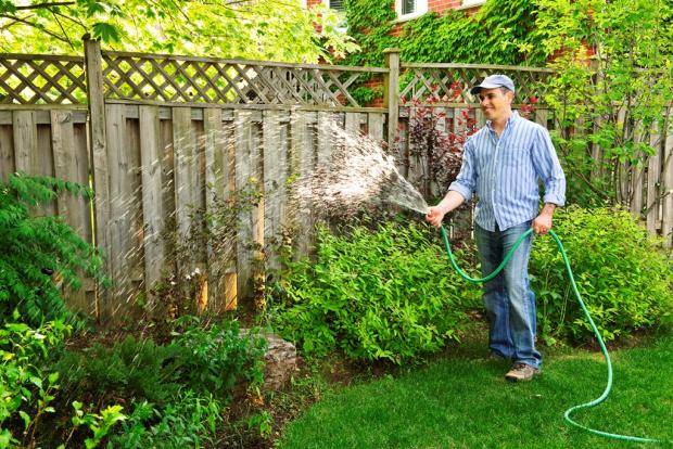 мужчина поливает растения в огороде