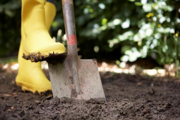 женщина в желтых сапогах копает землю лопатой