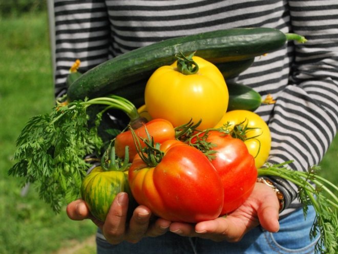 мужчина держит в руках урожай овощей