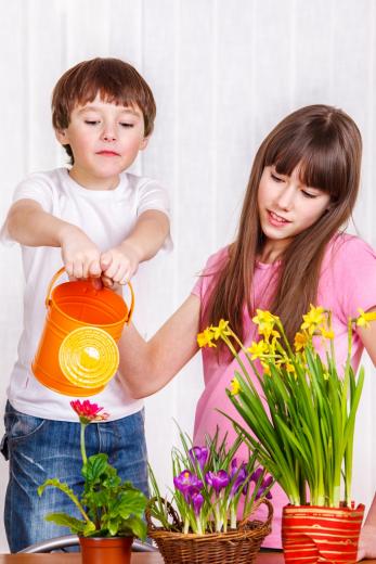 дети поливают домашние цветы