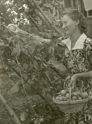 старая фото женщина снимает яблоки