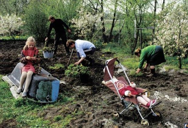 советские граждане сажают огород