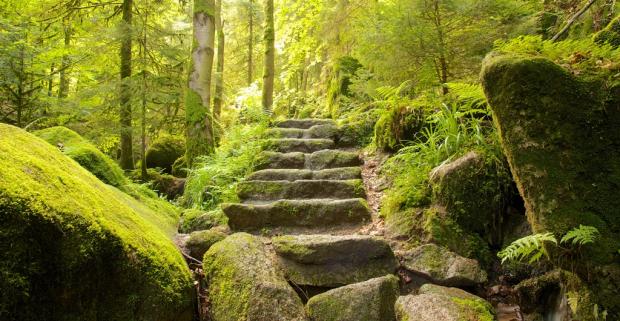 каменная лестница в лесу