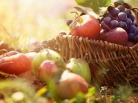 depositphotos/ mythja : овощи и фрукты в корзине
