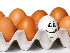 http://ru.depositphotos.com/Andre534: лоток с яйцами