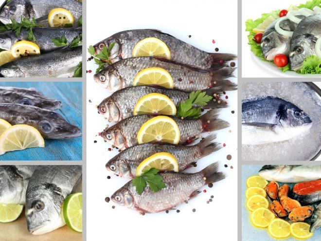свежая рыба и рыбные блюда коллаж